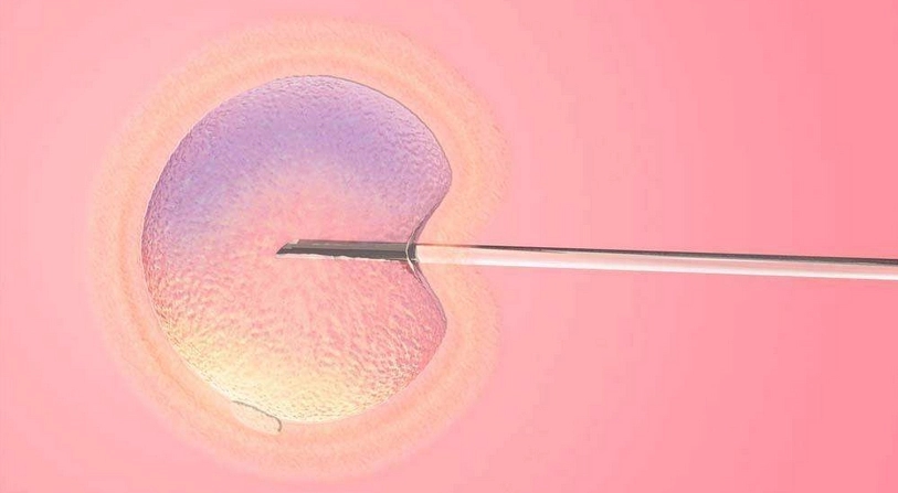 Ϻ̩Թܻ_Թ_ǰʲô
