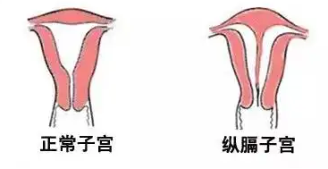 二代试管容易养囊成功_试管养囊几天出结果_农行面试多少天出结果