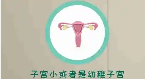 做试管移植手术后吃什么蔬菜好_养囊成功率和鲜胚移植成功率_试管养囊好还是新鲜移植好