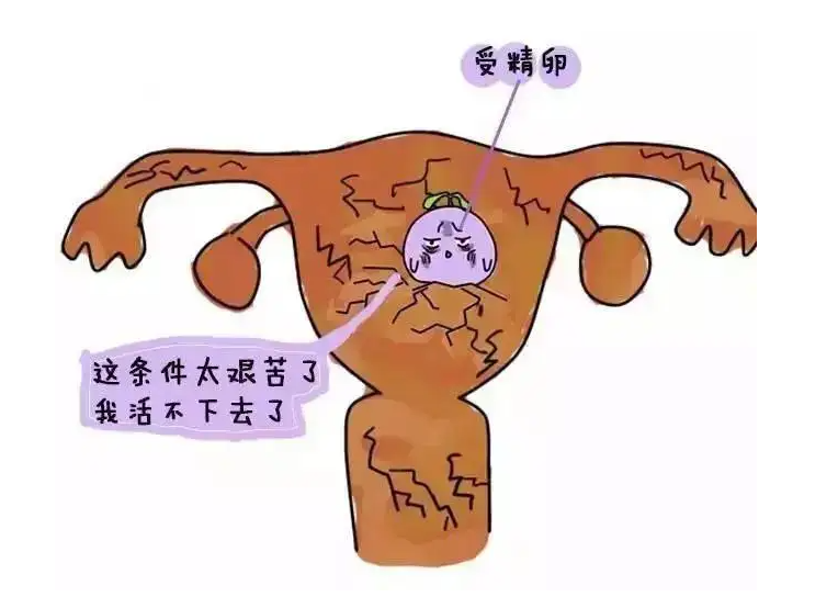 备孕助勃药物_北京试管助孕_试管初孕第六周期有什么症状