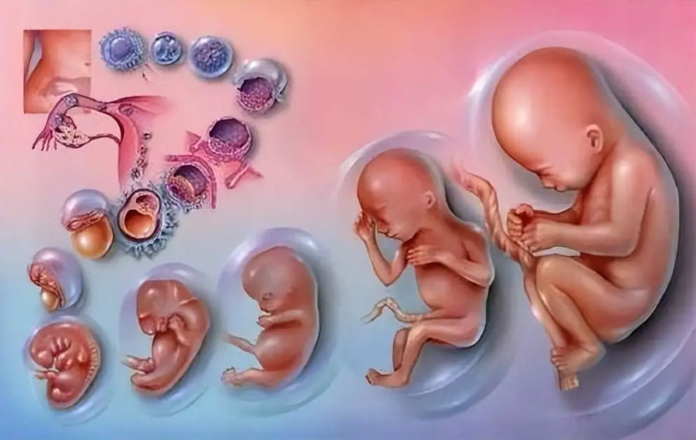 ԹȡѺȡ_Թȡ۲_ԹȡѺ۶