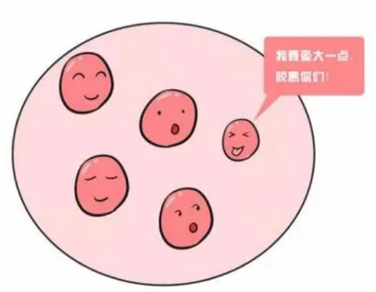 ԹֲԻӰ̥Ŵ_ԹֲŴ_ֲӰŴ