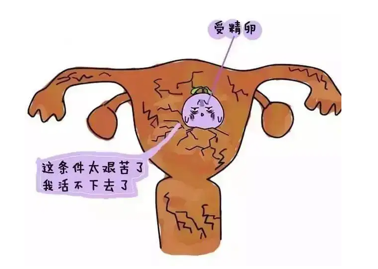 ԹӤǷӹ_Ӥˮ¼ˮ_ԹΪʲôԹܼ