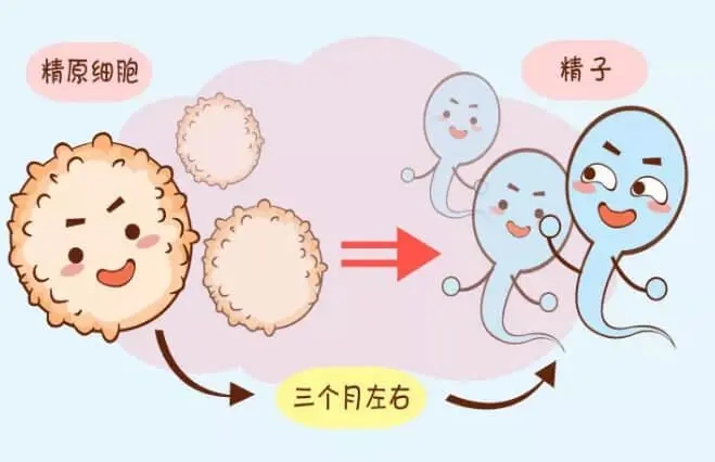 Թ˹_Թ˹ֲ_Թʲô˼