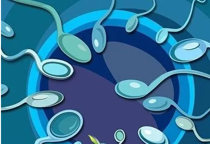 Թ ߵȼ ɹ_ԹԱ_Թʲô˼