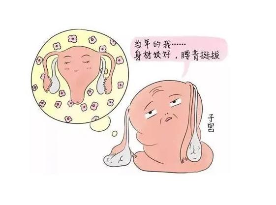 ԹӤ_˹Թܻ򱦱_ĺԹܻ