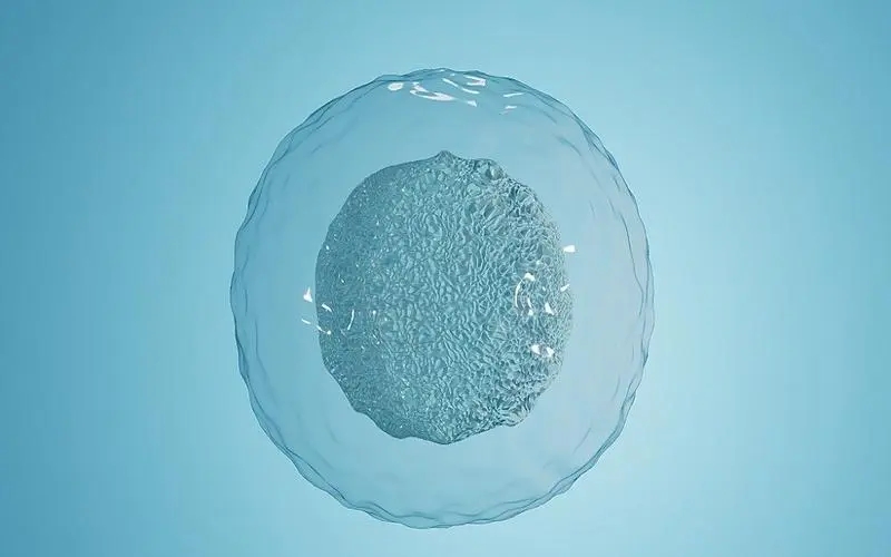 ˹ԹܻϹƷ_춼Щ(챻ƭ)_人Թܻ