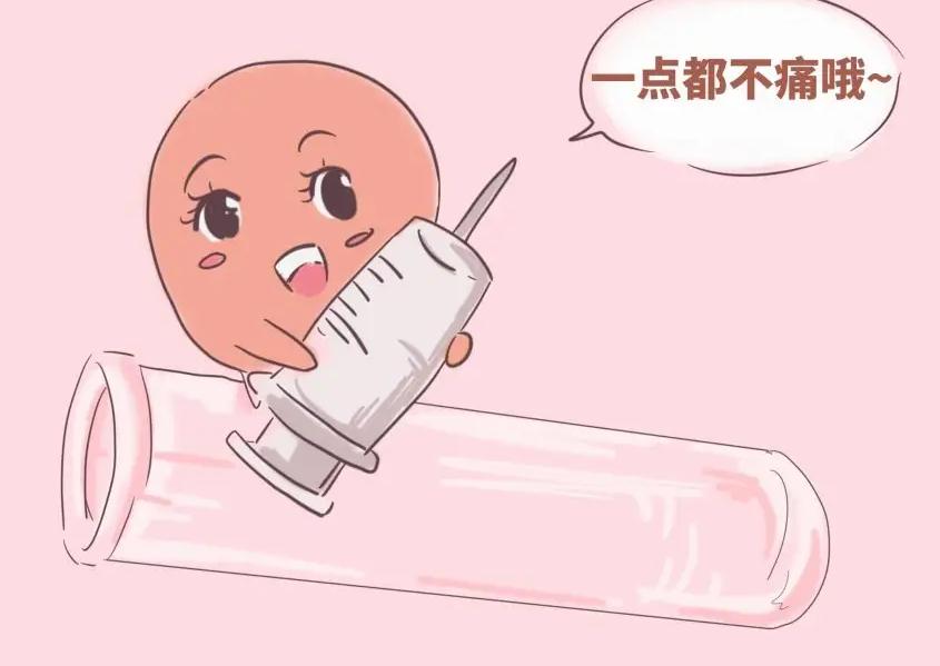 上海哪家医院做供卵试管婴儿好_卵巢功能早衰能做供卵试管吗_如何到台湾做供卵试管