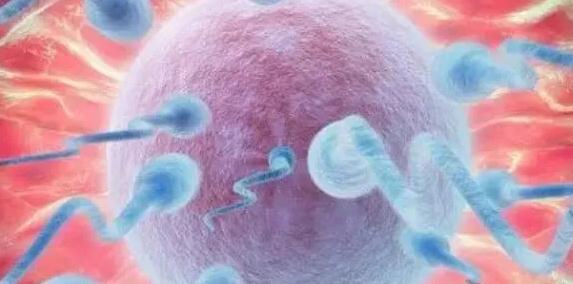 Թֲô_ֲ˹_Թ˹Ҫֲ