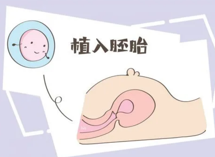 ȡѺѳָ_ȡѹ̳Ѫ˵ѳ_ԹȡѶѳ˺ж