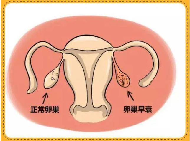 供卵试管成功经历_供卵试管qq群_西安三代试管供卵