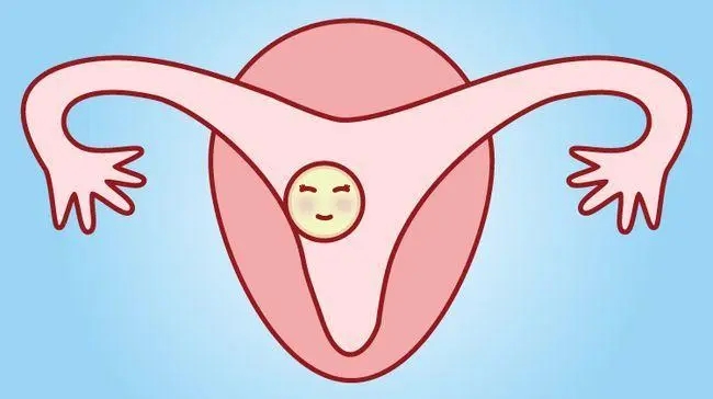 ĳרҵտĻθ_л_йл