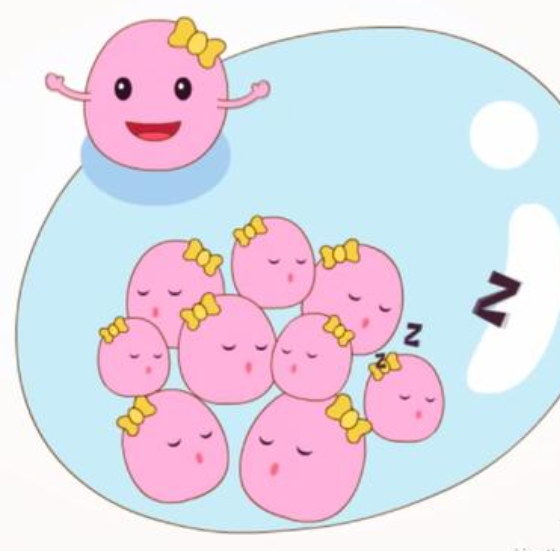 50ԹӤ,˫̥_Թ˫̥_Թ˫̥ͬ