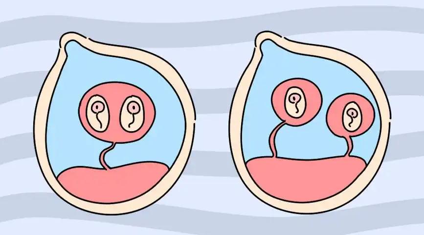 Ͼ_Ͼл_Ϻ̩Թܻ