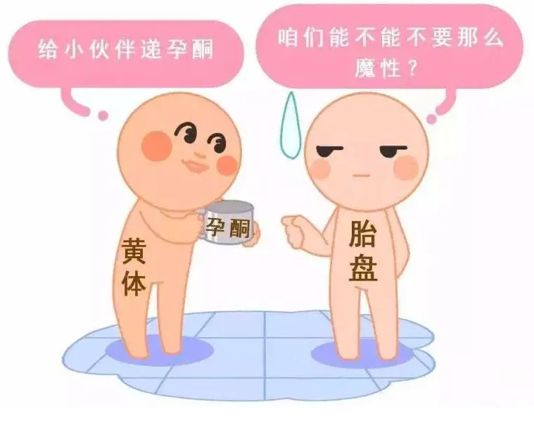 ֲʮŴ_Թ߼Ŵ_5Ŵ