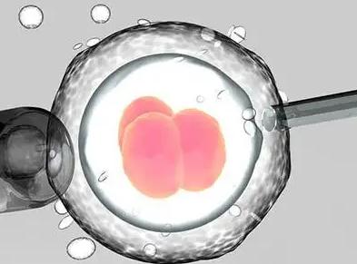 杭州供卵试管包成功_供卵试管 失败_供卵试管婴儿包成功