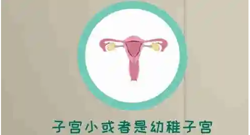 Թֲĸо_ԹֲߵھֽͼƬ_ԹֲôԤ