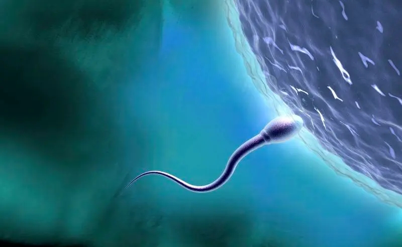 Թֲ߳ɹ_Թֲ14hcgձ_ֲ11hcgοֵ