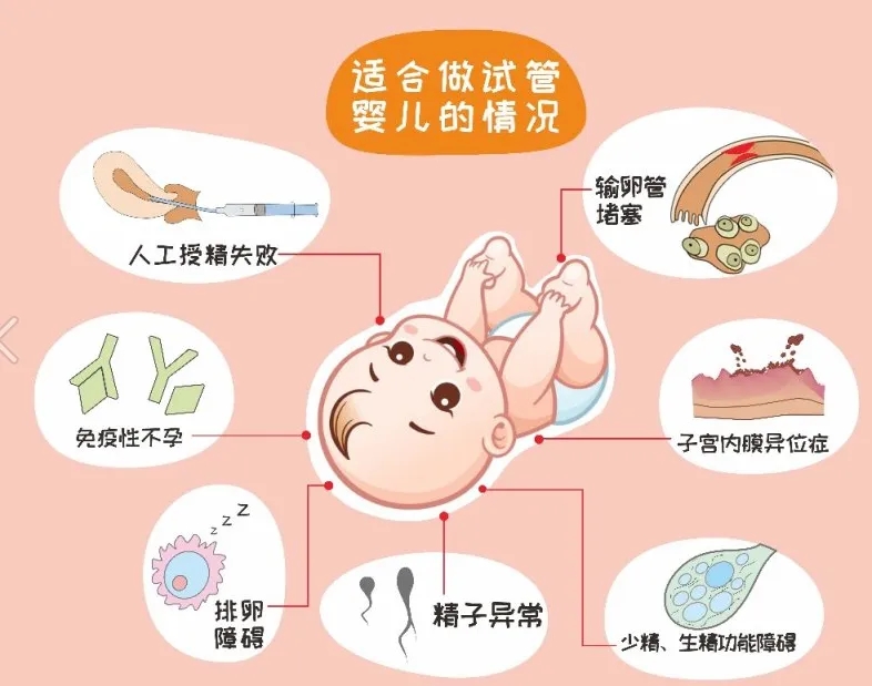 Թ̥ͣеĳɹ_ԹӶǮ_Թջе