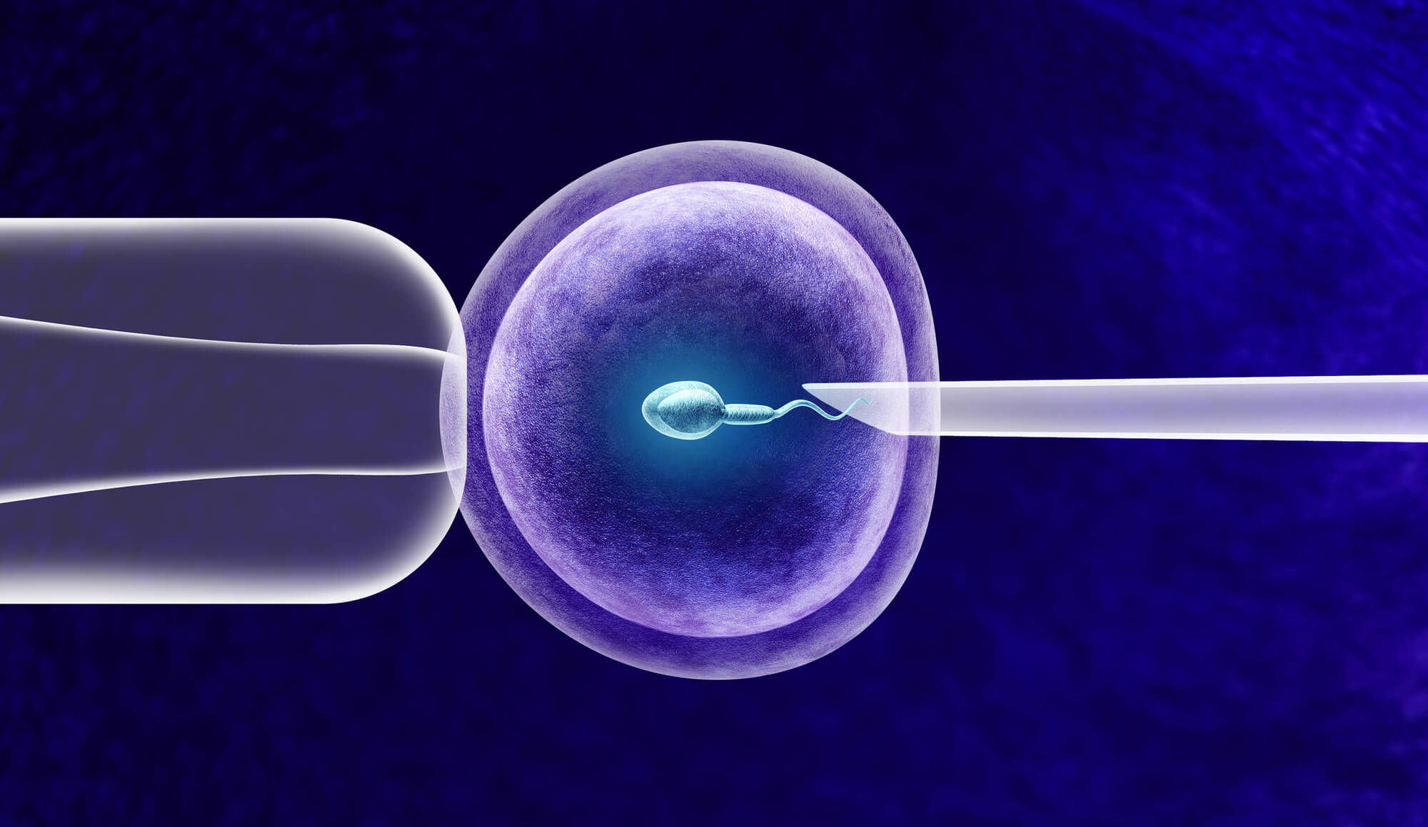 ԹֲŴʲôо֢״_ԹֲŴƵ_Թֲ߼Ŵ