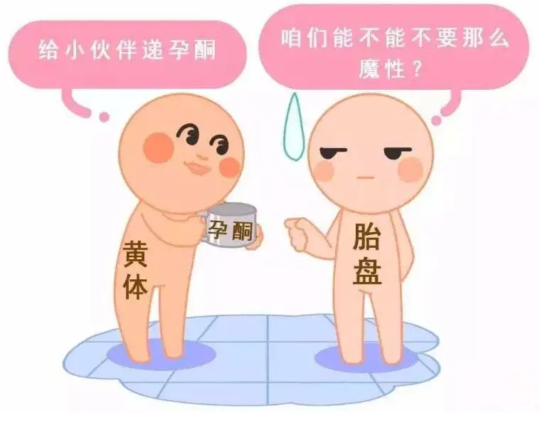 供卵费用是多少_供卵费用_供卵试管费用是多少