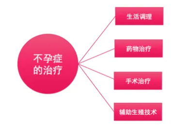 供卵试管成功率_33岁做供卵试管成功率高吗_沈阳哪里可以做供卵试管