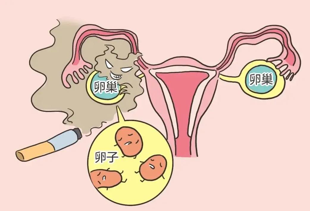 试管囊胚移植几天能测出来怀孕_囊胚移植几天能测出来_移植冻囊胚7天验孕没验出来