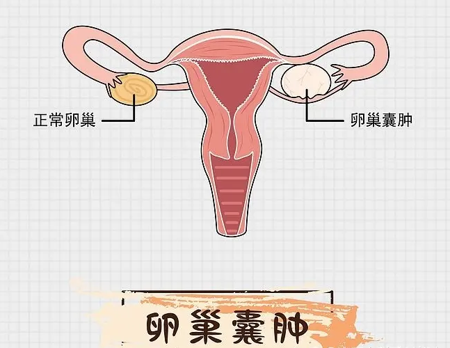 ԹӤ_ڹл_人л