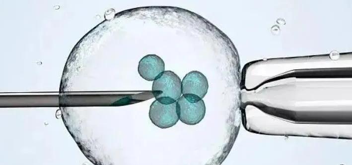 Թߵĳɹ_Թ߳ɹʸ_Թ ߵȼ ɹ