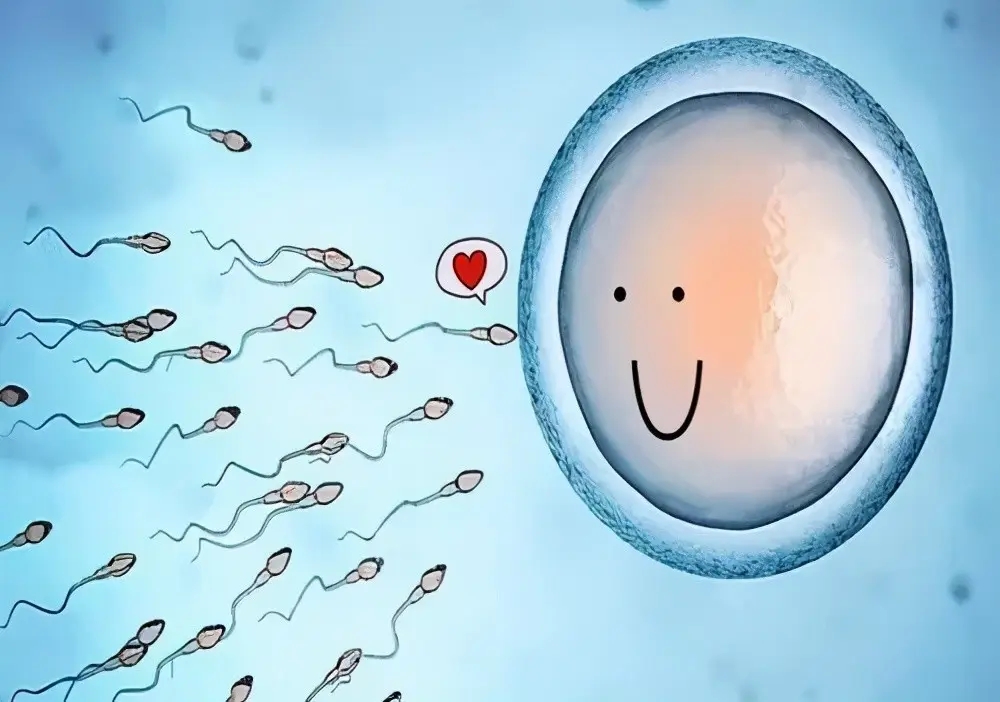 ԹȡѶ_Թȡ_Թܴݶȡ
