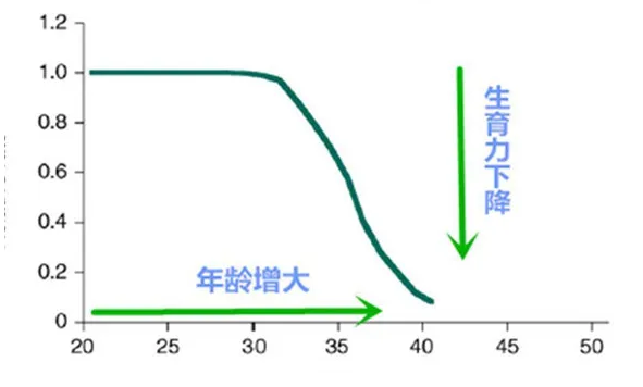 ԹлǮ_Ӷ̥͢_53Թܳɹ