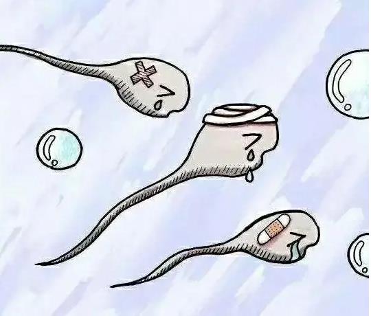 ԹֲŴʳױ_ֲ̥Ŵʲôо_ԹֲԻӰ̥Ŵ
