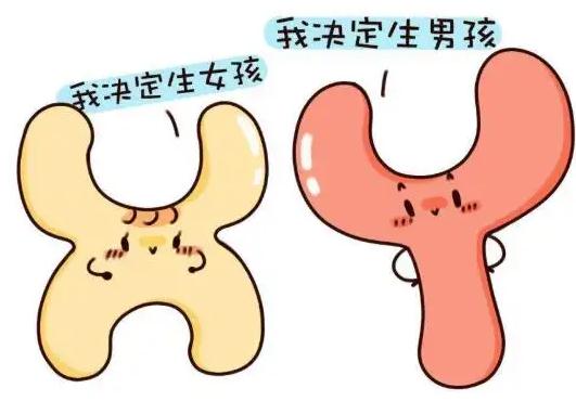 泰国的3代试管医院排名_试管代妈群_三代试管