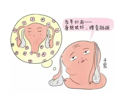 Թܳɹʺйϵ_ԹӤ_γɺγʲôϵ?