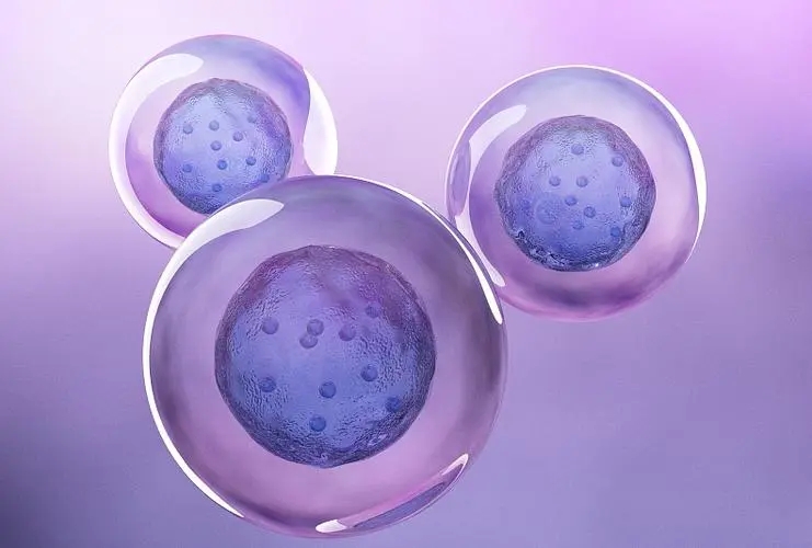 Թֲô_Թ˹ֲ_Թֲô