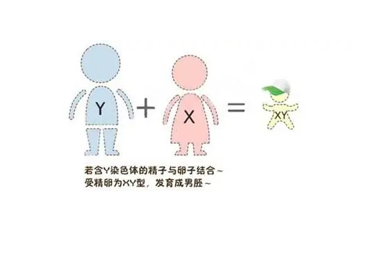 Թ̥ͣɹʸ_Թֲתø_ԹܳɹߵҽԺ