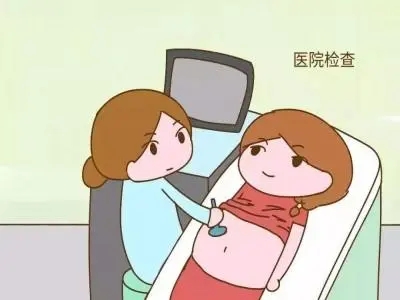 ԹֲҪԴ೤ʱ_Թֲɹα̥_ԹӤֲԴ