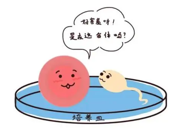 ԹӤֲԴ_Թֲɹα̥_ԹֲҪԴ೤ʱ
