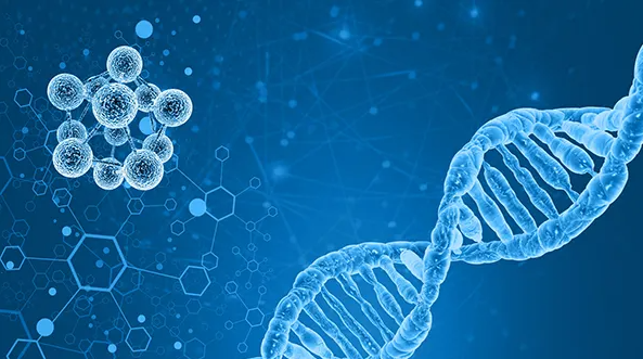 试管移植后肚皮痒成功_试管养囊成功后会冷冻起来吗_试管成功怀孕后