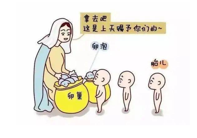 ˫̥Թ_50ԹӤ,˫̥_Թ˫̥ٲ֢״