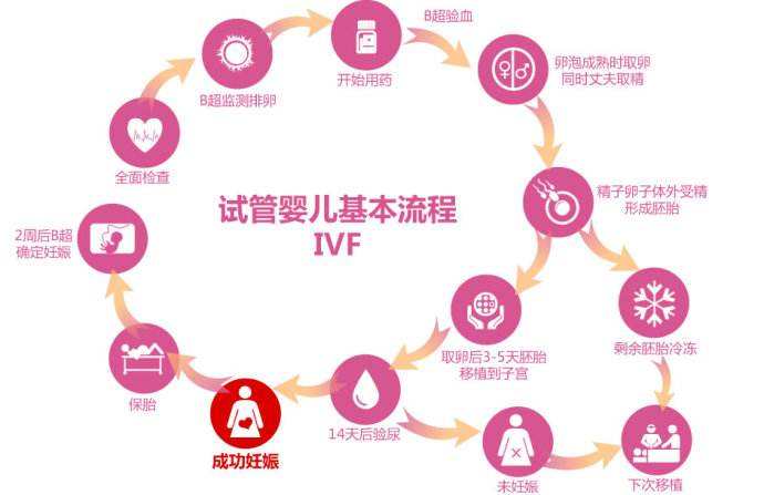 试管生化后多久移植好_试管养囊好还是新鲜移植好_养囊成功率和鲜胚移植成功率