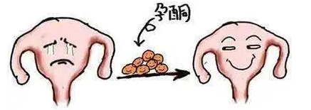 ԹһкǮ_˹кԹ鷳_Թк