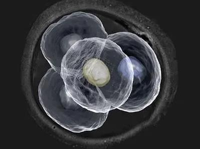 Թֲ13ɫѪ_ԹҼ_sci10