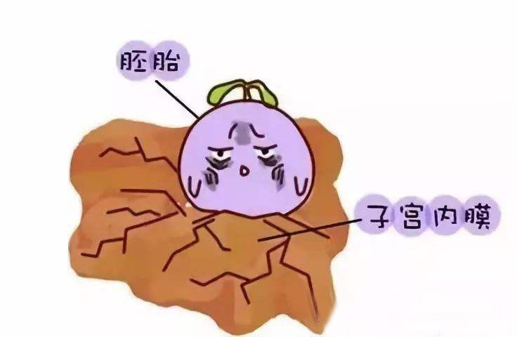 Թҵĳɹ_ѳۺ֢Թ_Թ