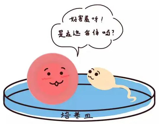 40b_ڶb_Թܶb