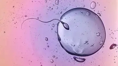 ԹȡѶѳ˺ж_ԹȡѺѳ_ԹȡѶĿȡ