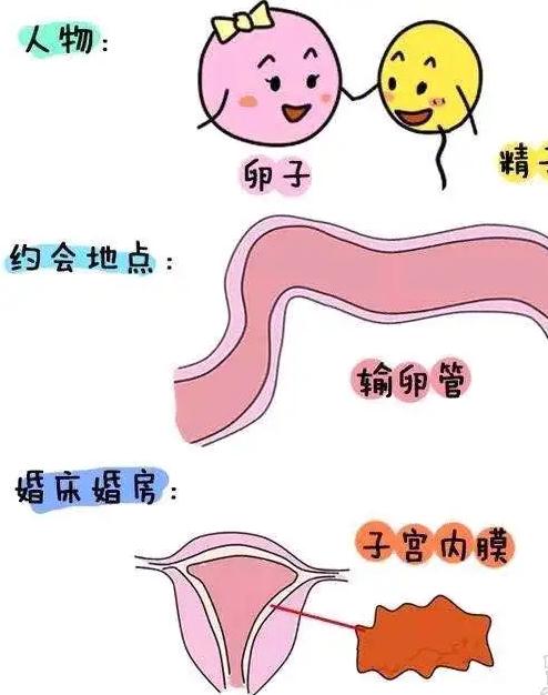 Թܻкѳ_Թñ滳_ѹֱܶԹ