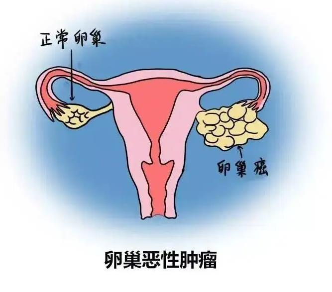 上海孕泰试管机构正规吗_试管助孕机构_怀过孕的人做试管成功率高吗