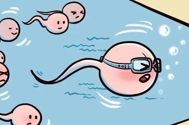 ϺԹ_ǰʲô_Թ5̥