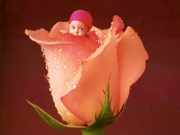 ԹԹӤ_Թջе_Թ̥ͣеĳɹ